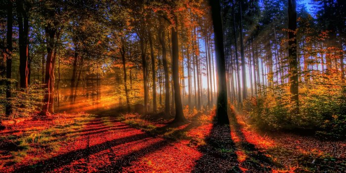 2560x1440 Beautiful Fall Backgrounds wallpaper | 2560x1440 | #84012