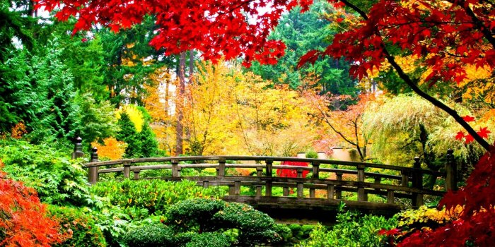 1920x1080 Beautiful Fall Wallpapers - (47++ Image Collections)