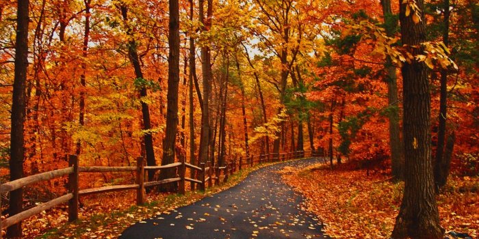 1600x1000 Pretty fall wallpapers Gallery