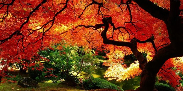 1920x1080 Beautiful Fall Wallpapers Fresh Very Amazing Wallpapers Hd Best Fall