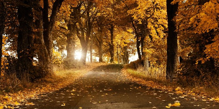 1920x1080 Autumn Wallpaper HD let you feel the magic of Fall
