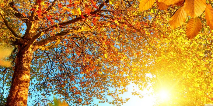 3440x1440 Beautiful Autumn Landscape ❤ 4K HD Desktop Wallpaper for 4K Ultra