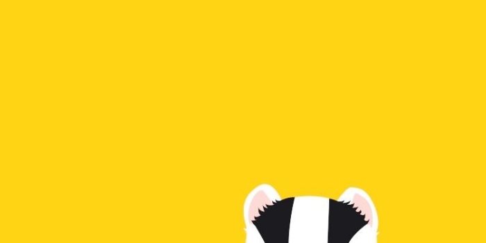 750x1334 Hufflepuff Iphone Wallpaper Group (42+), Download for free