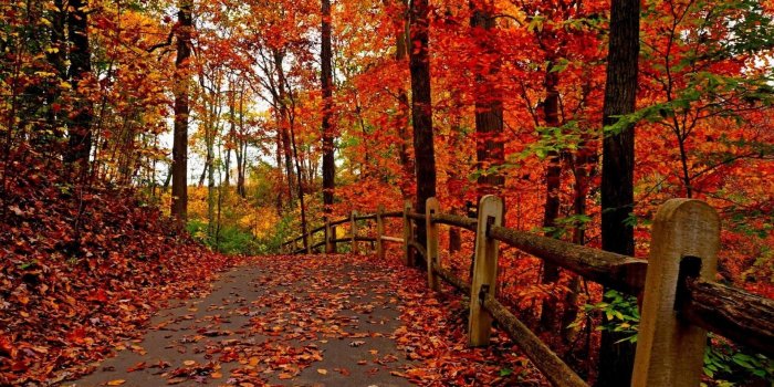 1920x1080 Beautiful Fall Wallpapers(47+), Download HD Wallpapers
