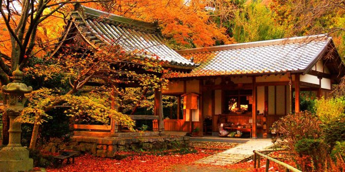 1800x1032 Beautiful, Nature, Autumn HD Wallpapers, Background, HD Image for