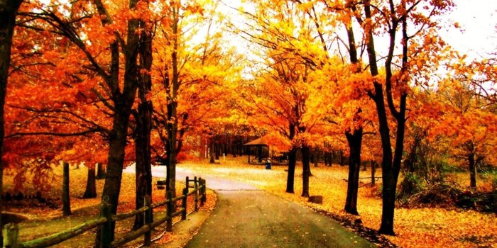 1920x1200 Beautiful Fall Wallpapers Wallpapers Cave Desktop Background