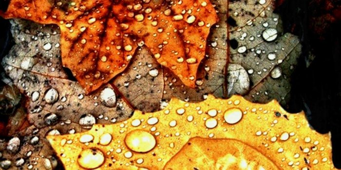 1024x981 Beautiful Wallpapers Tumblr - (66+ images)