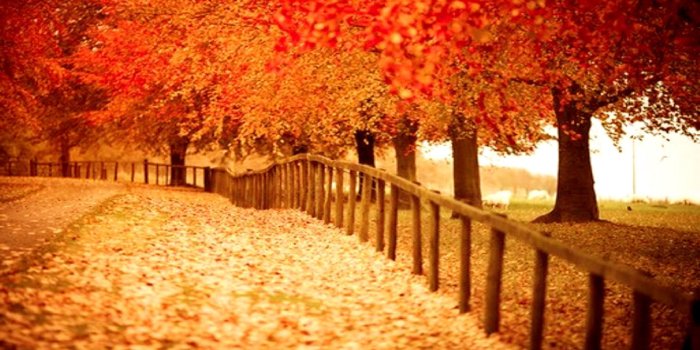 2560x1440 Beautiful Fall Desktop Wallpaper (74+ images)