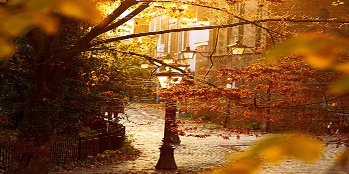 2560x1440 Beautiful Fall Pictures Wallpapers