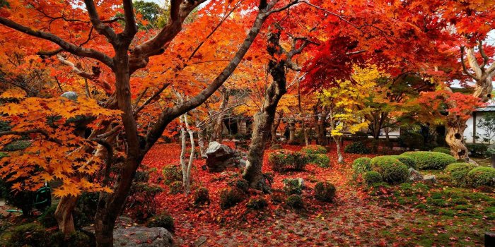 1920x1080 17796 fall wallpaper for desktop 1920x1080