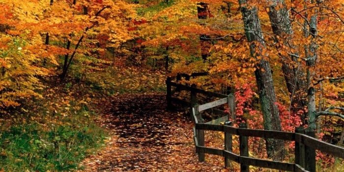 1024x768 800x600px Beautiful Fall Wallpapers Desktop Background