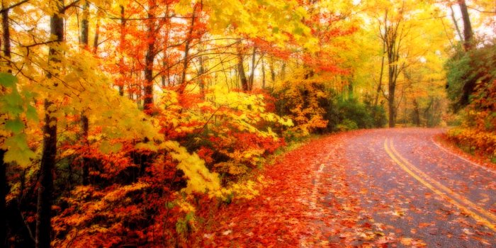 2560x1600 Best 63+ Autumn Wallpaper on HipWallpaper | Autumn Wallpaper, Best