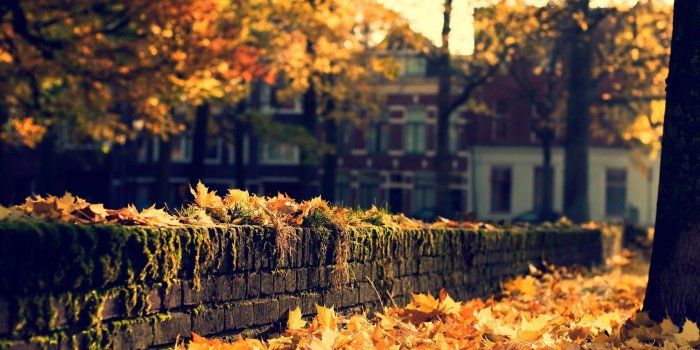 1920x1080 Beautiful Fall HD Wallpaper - 18.05 2921DE