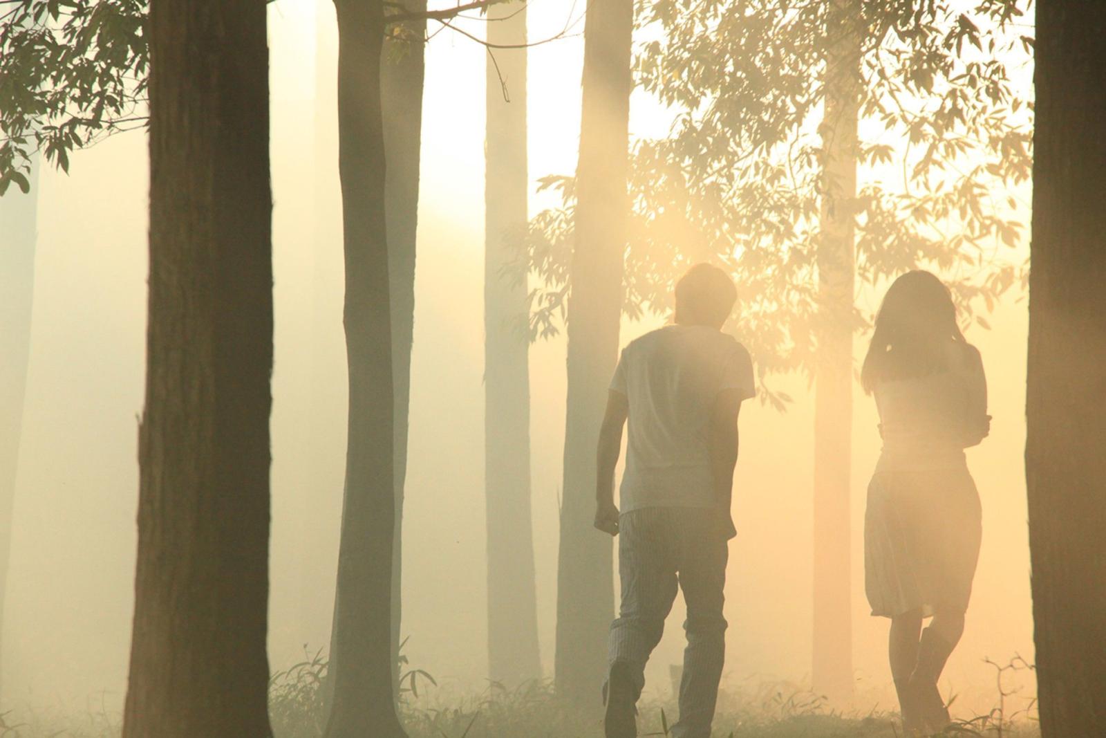 2362x1576 Norwegian Wood | ✿scene✿ | Norwegian wood, Wood wallpaper, Recent