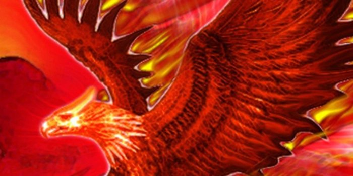 1080x1920 Phoenix Bird Wallpapers (82+ background pictures)