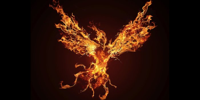 2560x1440 HD Phoenix Wallpapers - Top Free HD Phoenix Backgrounds