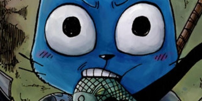 1080x1920 Fairy Tail Happy Wallpaper (29+ images) on Genchi.info