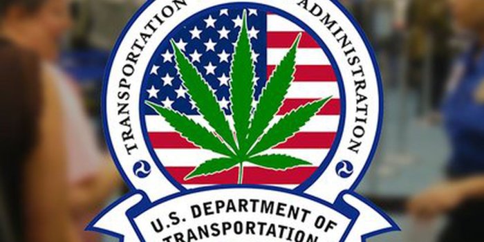 1200x800 Yo, TSA, For Real, Are You Cool With Weed Now Or Not? - Funny Or Die