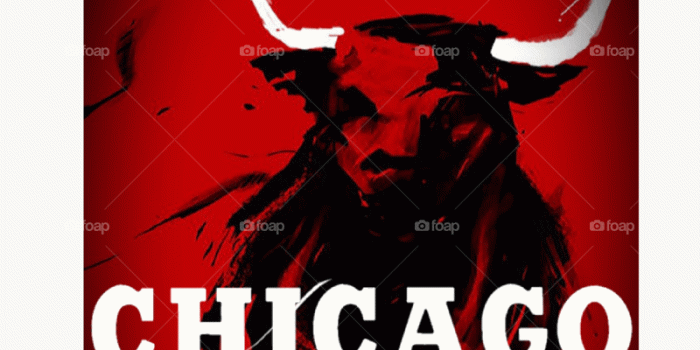800x1280 Fanart Red Black White Chicago Bulls Wallpaper Hd Backround