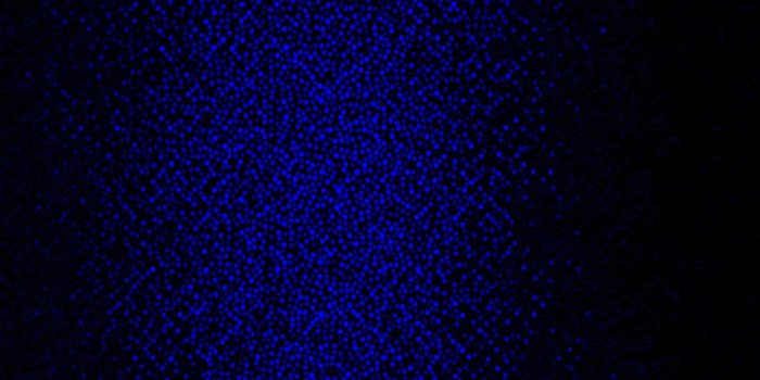 1802x3200 jennifer g on Blue in 2019 | Blue wallpaper phone, Blue