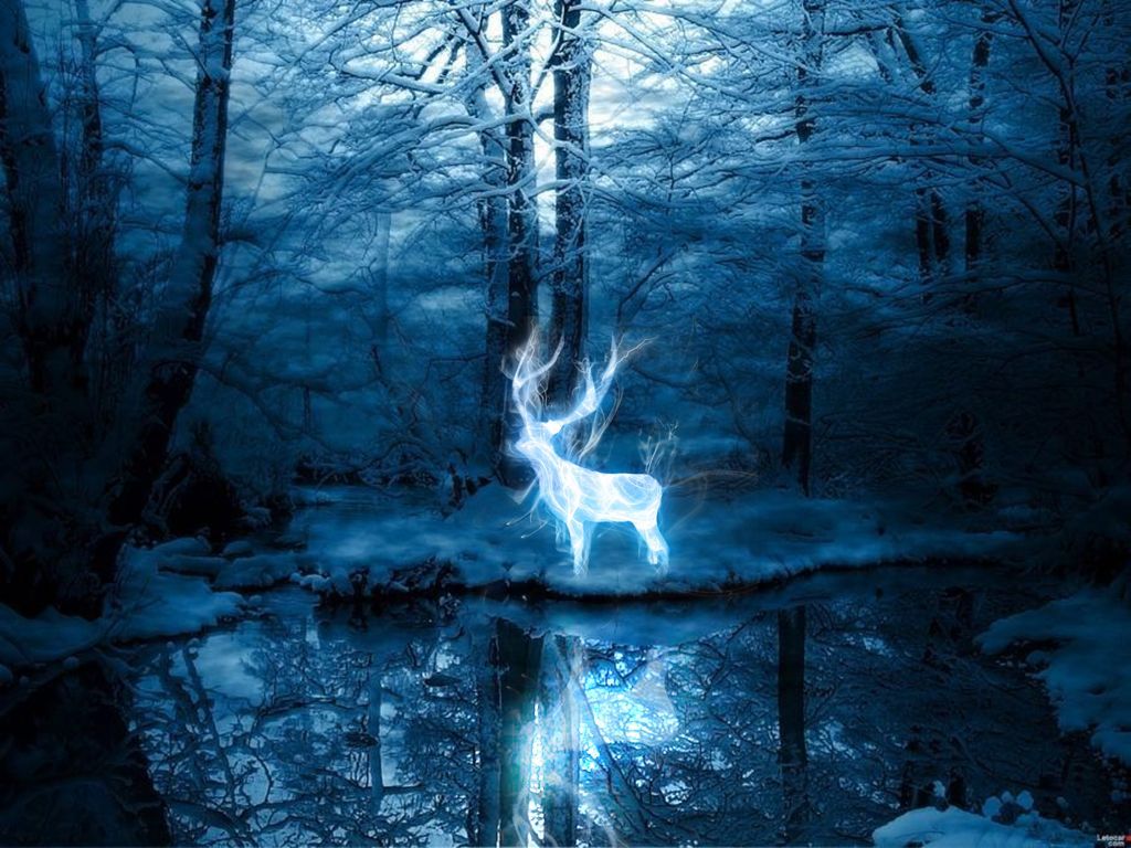 1024x768 Harry Potter Wallpaper Dump | HARRY POTTER MANIA | Blue forest