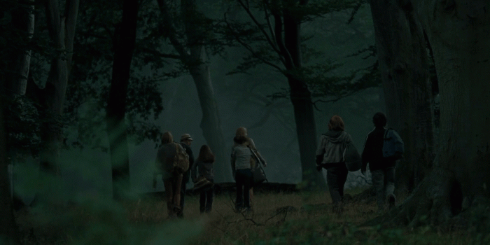 1920x798 forest - Harry Potter Wallpaper (1920x798) (191085)