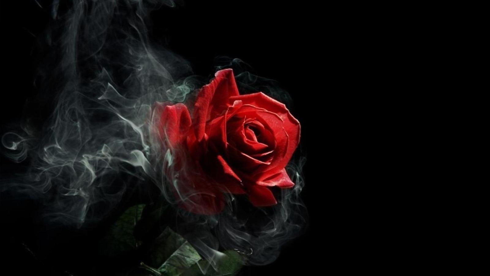 1920x1080 beautiful Gothic Roses Wallpaper 1920x1080 | wallpapers in 2019