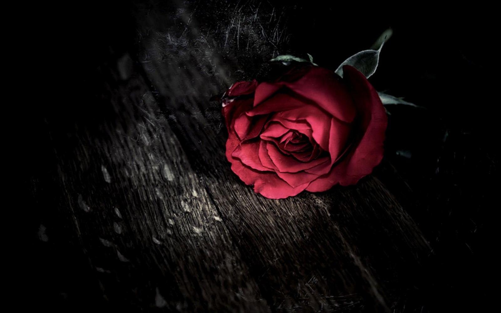 1680x1050 Dark gothic holidays valentine's day roses mood wallpaper