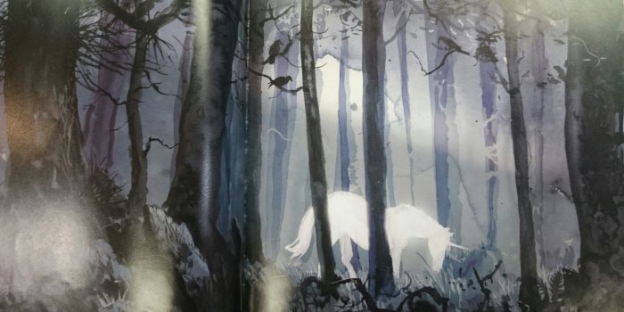 1920x1080 Jim Kay's beautiful illustration on the forbidden forest | <Harrp
