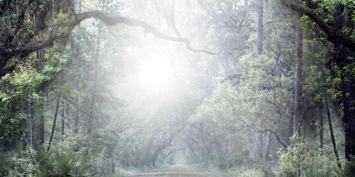 1536x2732 Beautiful Creatures (2013) Phone Wallpaper in 2019 | Beautiful