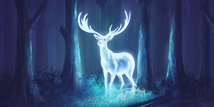 1332x850 Wallpaper forest, night, deer, fantasy, art, horns images for
