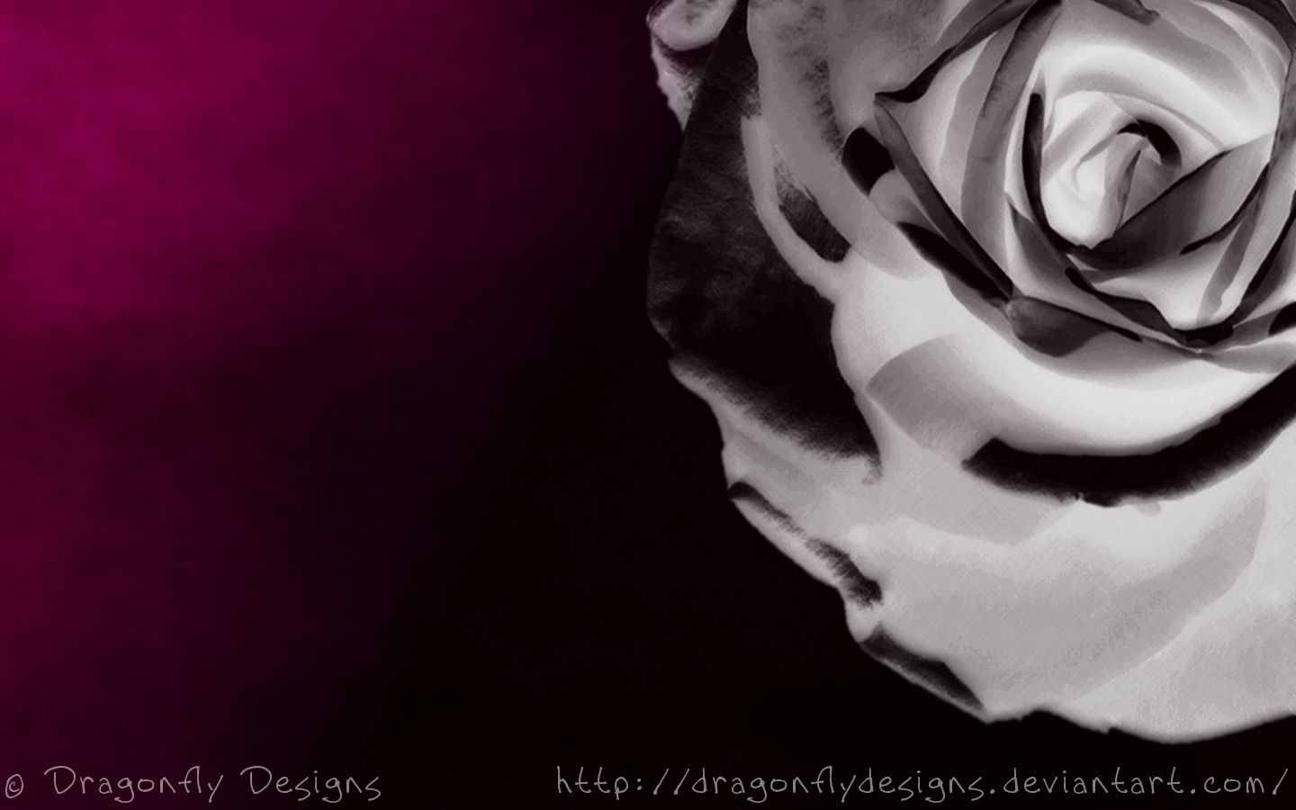 1440x900 18162 gothic roses wallpaper