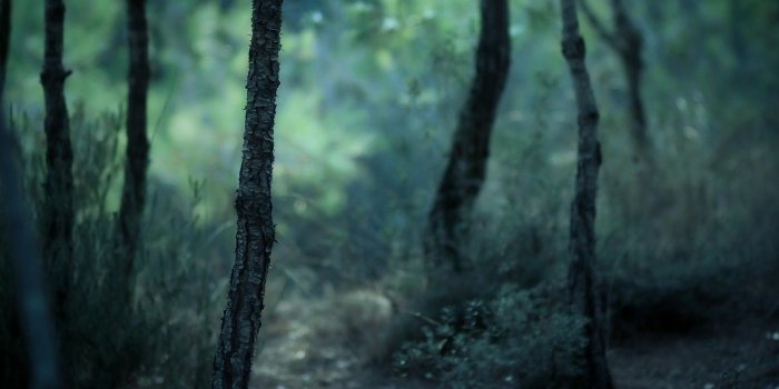 2500x1046 30 Ultrawide Wallpapers That Will Look Stunning On Screen