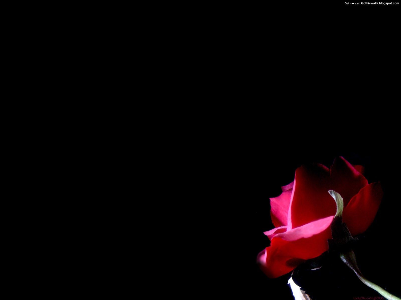 1600x1200 Free download Gothic Rose HD Desktop wallpaper images and photos