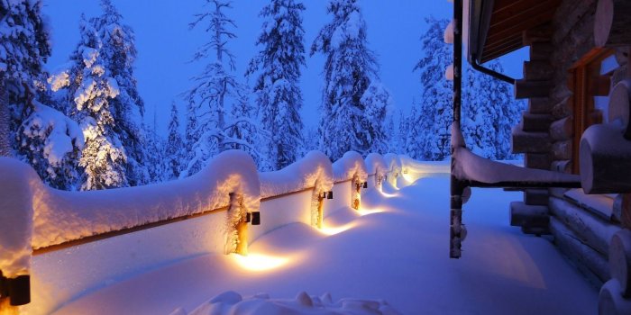 1920x1200 Winter Forest Night Wallpapers Desktop Background » Outdoors
