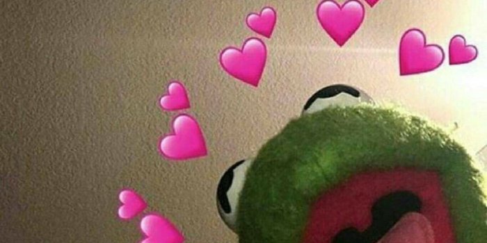 1080x774 kermit the frog love meme - Google Search | kermit the frogggg in