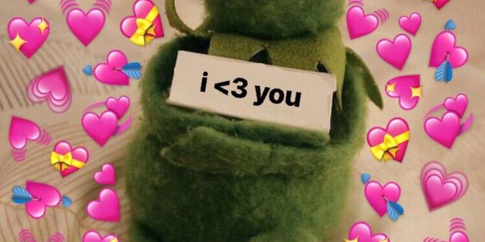 1044x1232 heart eyes kermit | m e m e | Frog wallpaper, Cute love memes, Kermit
