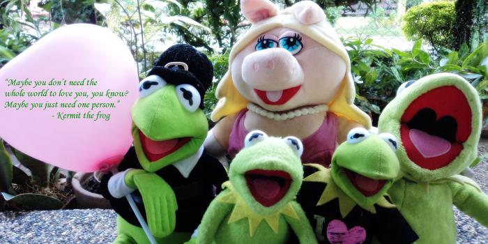 2592x1944 Kermit the Frog Wallpapers - Top Free Kermit the Frog Backgrounds