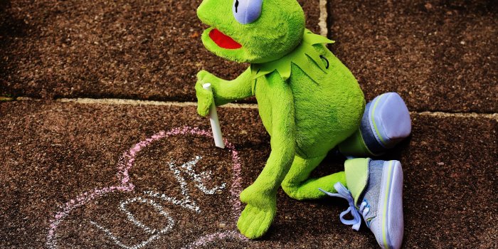6000x4000 kermit the frog plush toy free image | Peakpx