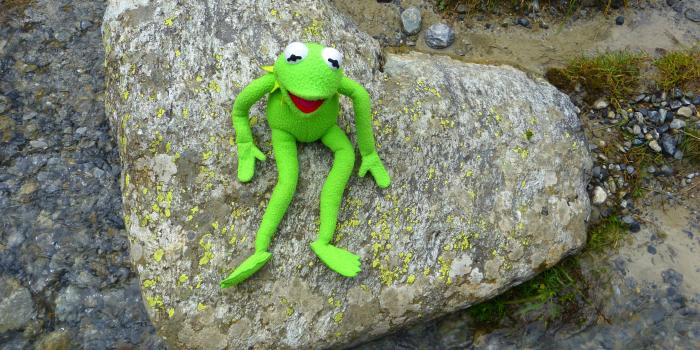 4000x3000 Kermit, Frog, Heart, Stone, Love, Nature, one animal, animal themes