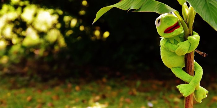 1920x1080 Download wallpaper 1920x1080 toy, kermit the frog, plant full hd