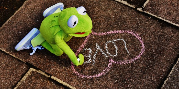 6000x4000 kermit the frog plush toy free image | Peakpx