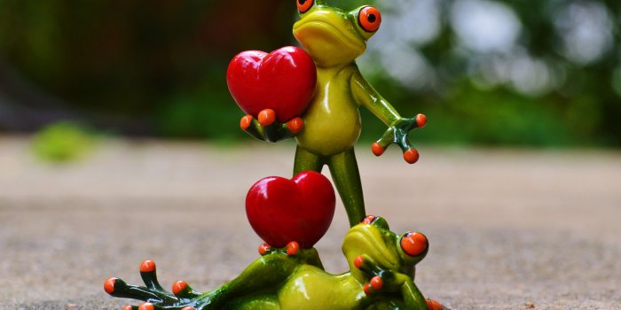 4512x3000 Two green frog holding a heart ceramic figurine on gray road HD