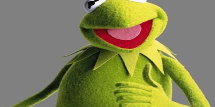 1920x1200 Kermit the Frog Wallpapers - Top Free Kermit the Frog Backgrounds