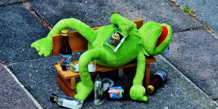 4902x3236 HD wallpaper: Kermit the frog plush toy wearing birthday hat sitting