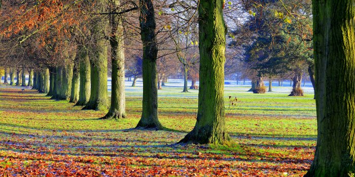 7680x4320 8K Ultra HD Nature Wallpapers - Top Free 8K Ultra HD Nature