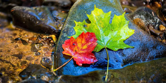 7680x4320 ultra hd wallpapers 8k 7680x4320 nature photography | Ultra hd in