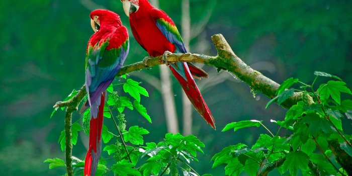 3840x2160 Download 8k Ultra Hd Wallpapers (66+) - Free Wallpaper For your screen.