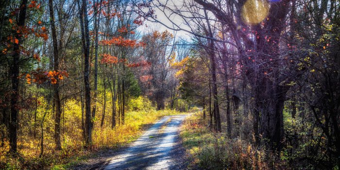 7680x4320 2376 ultra hd wallpaper 8k 7680x4320 nature picture wide | 8k