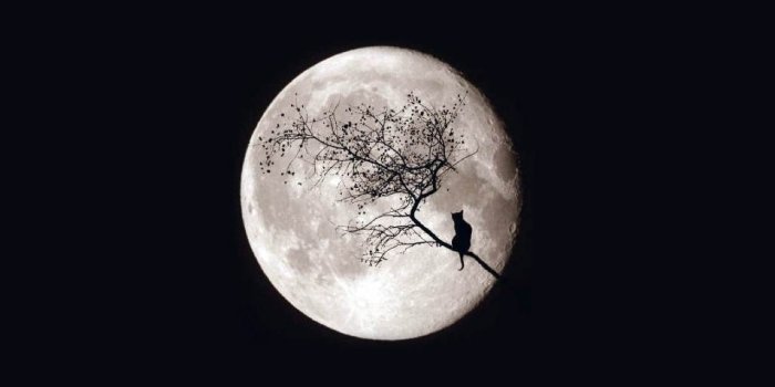 1280x960 Full Moon HD desktop wallpaper : High Definition : Fullscreen